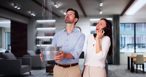 Best Ceiling water damage repair  in USA